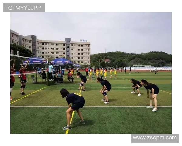 成都与武汉排球队对决赛后分析与经验总结